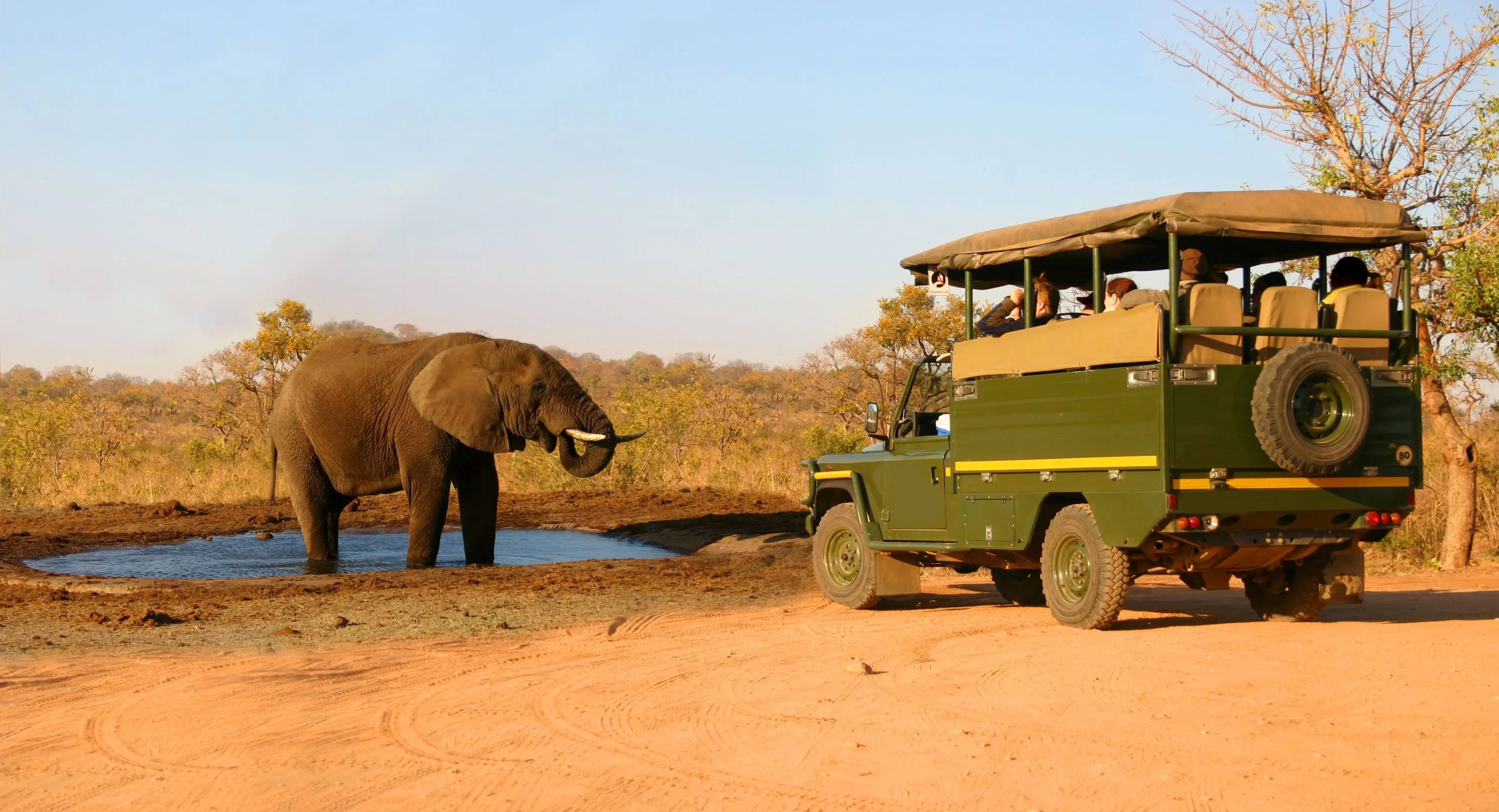 Safari jeep watching elephants in the African savanna