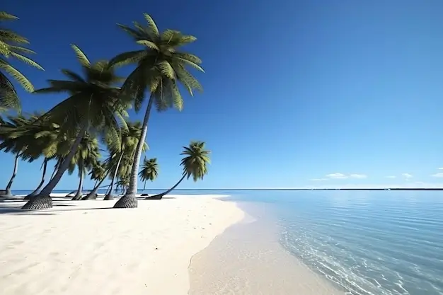 Pristine tropical beach with white sand and palm trees