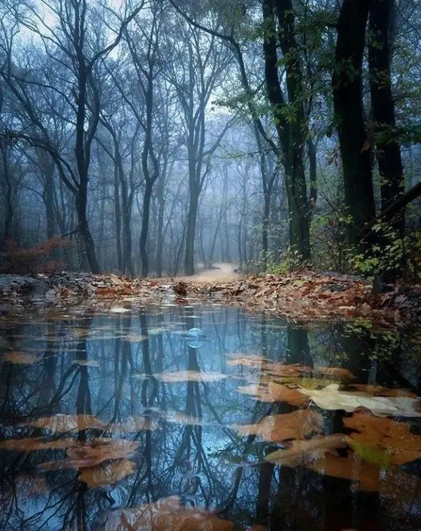 An pristine, untouched natural landscape